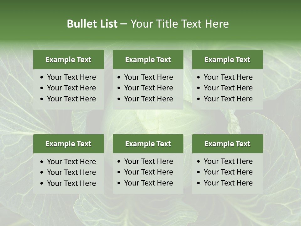 Black And White Cabbage PowerPoint Template