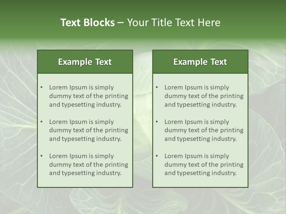 Black And White Cabbage PowerPoint Template
