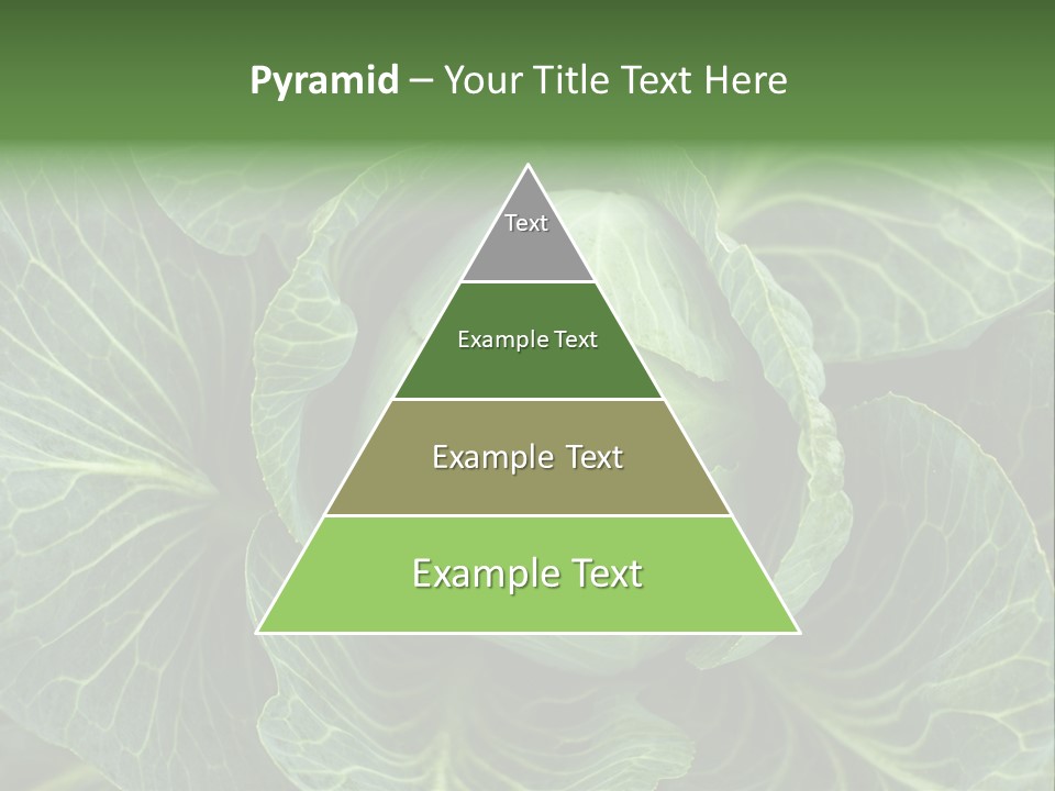 Black And White Cabbage PowerPoint Template