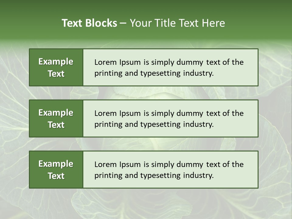 Black And White Cabbage PowerPoint Template
