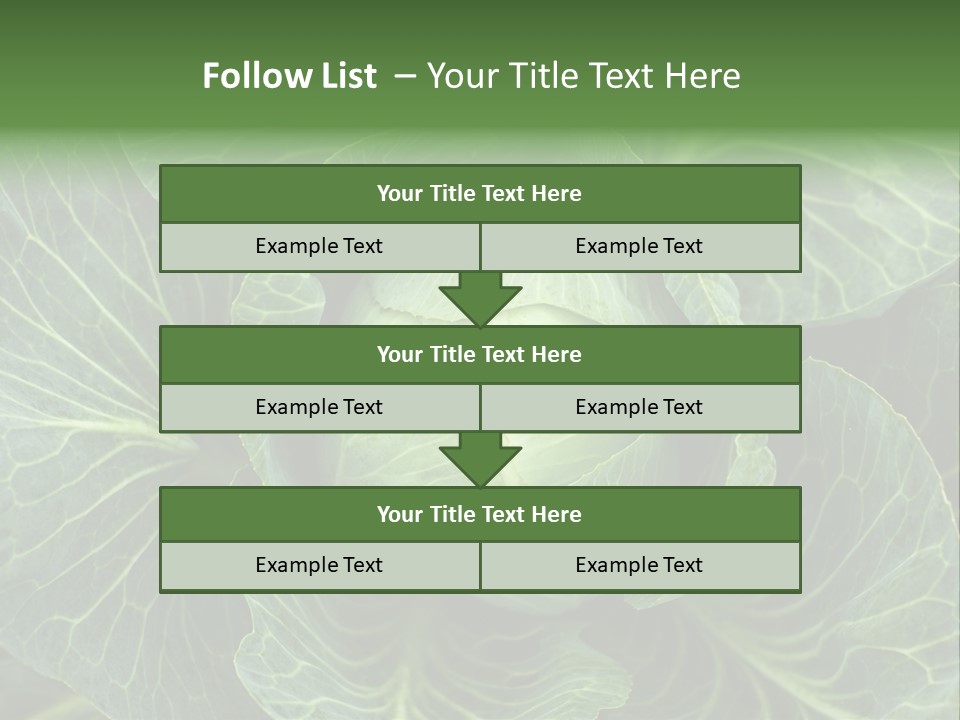 Black And White Cabbage PowerPoint Template