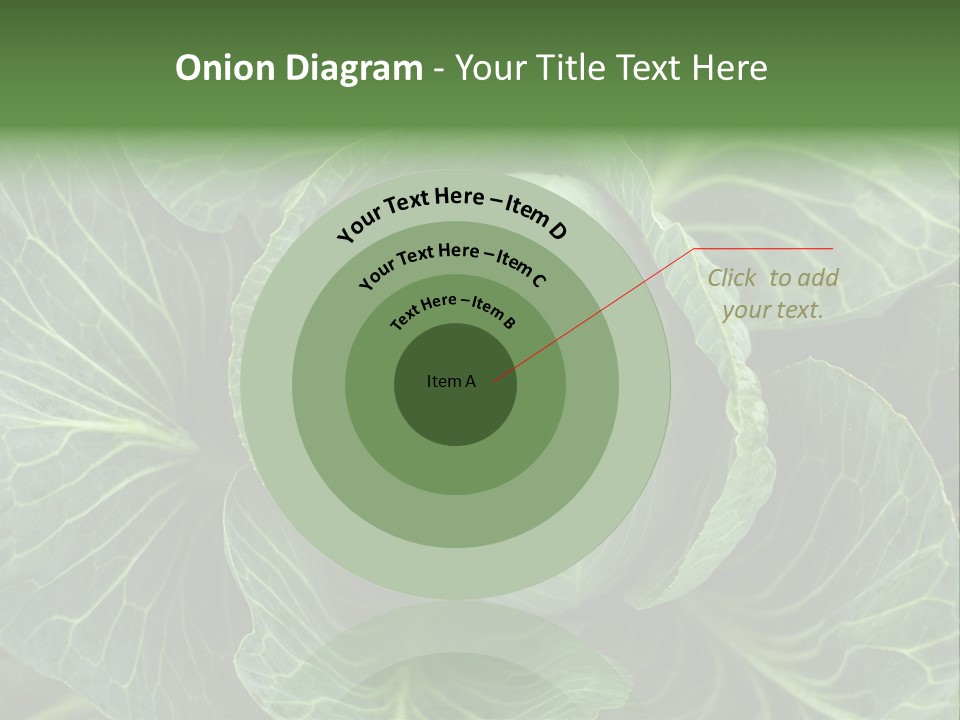 Black And White Cabbage PowerPoint Template