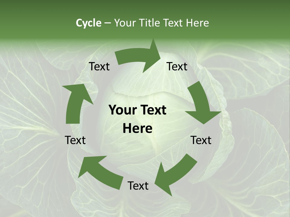 Black And White Cabbage PowerPoint Template