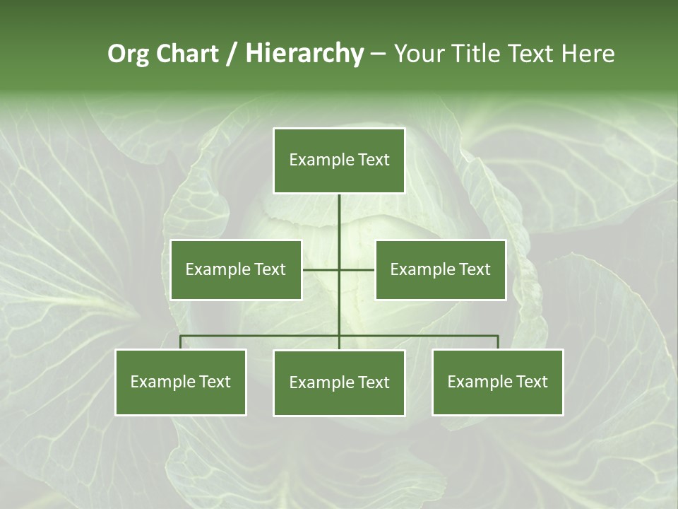 Black And White Cabbage PowerPoint Template