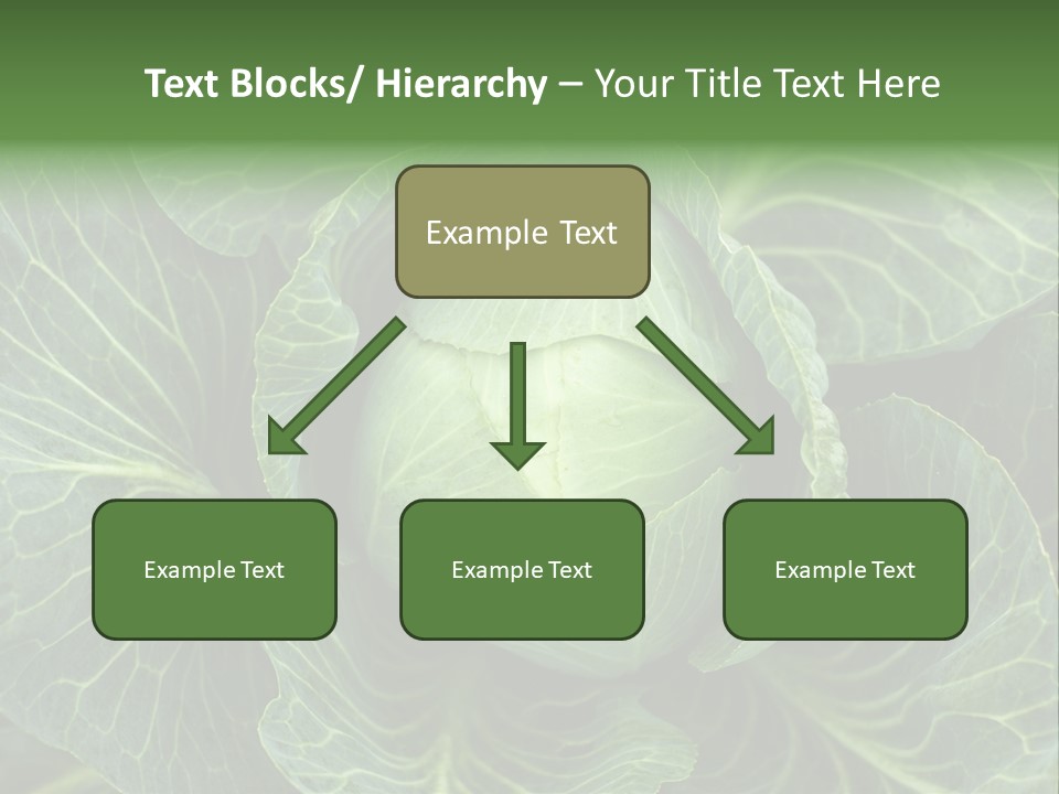 Black And White Cabbage PowerPoint Template