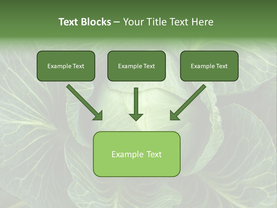 Black And White Cabbage PowerPoint Template