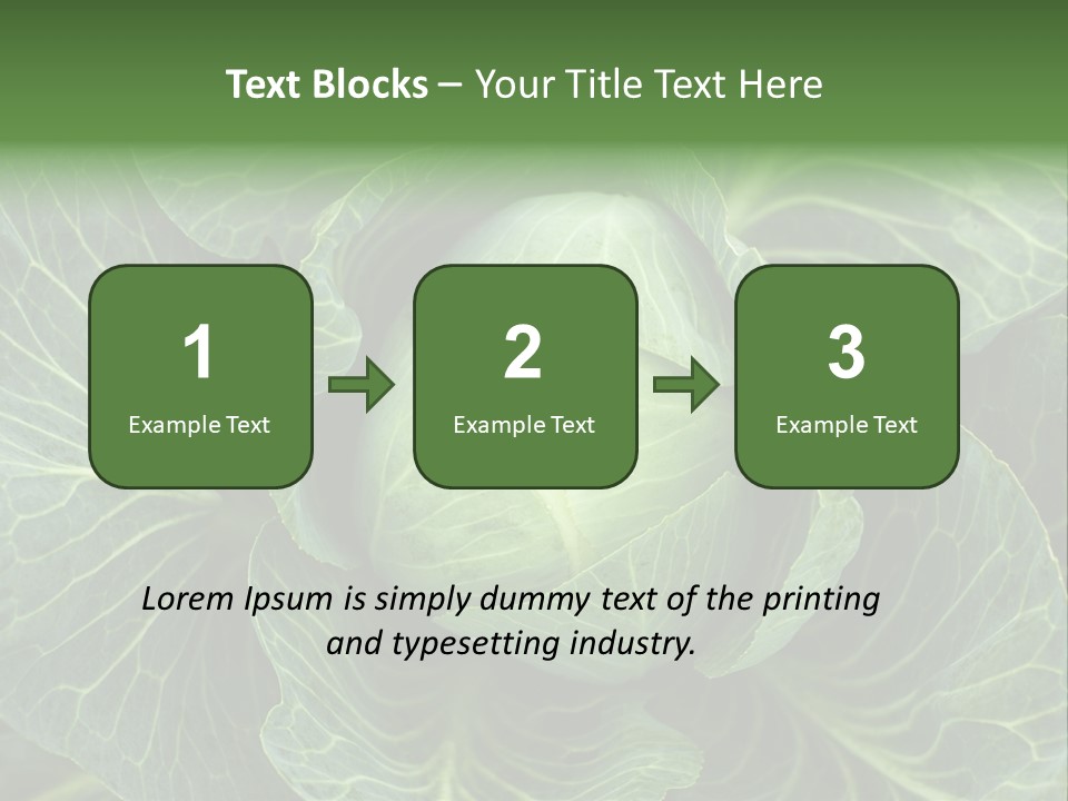 Black And White Cabbage PowerPoint Template