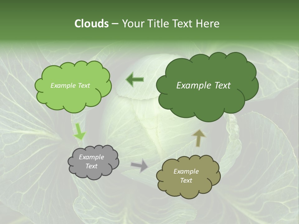 Black And White Cabbage PowerPoint Template