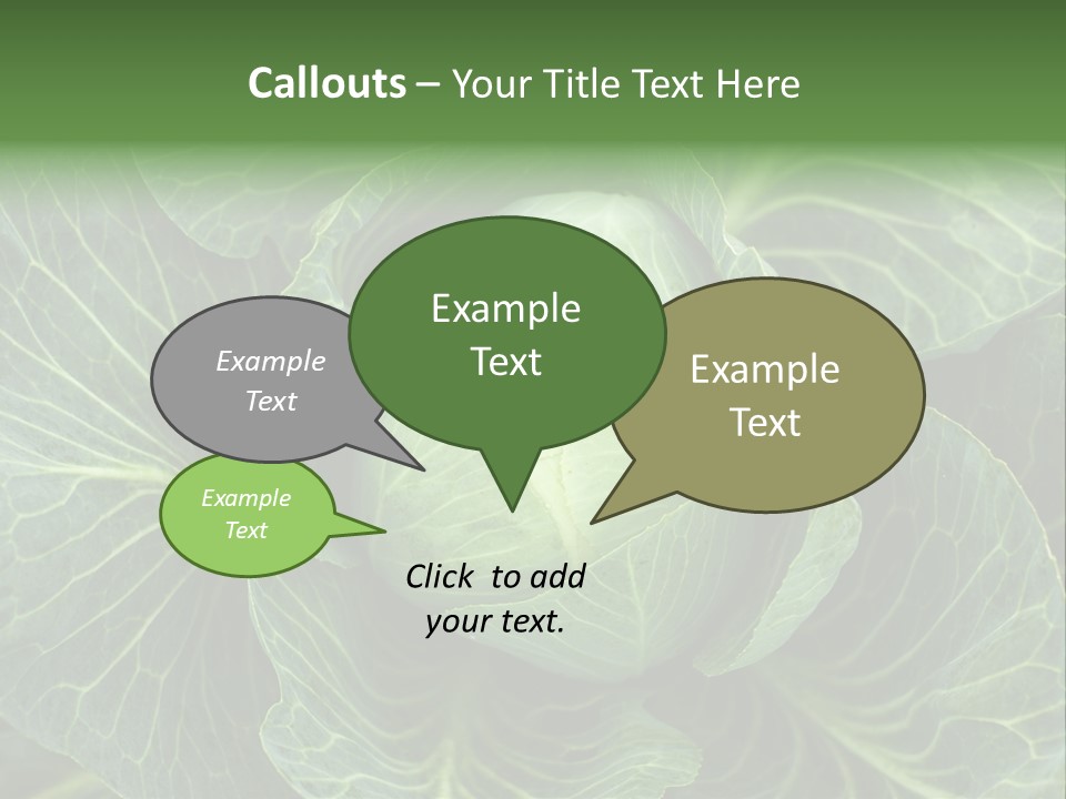 Black And White Cabbage PowerPoint Template