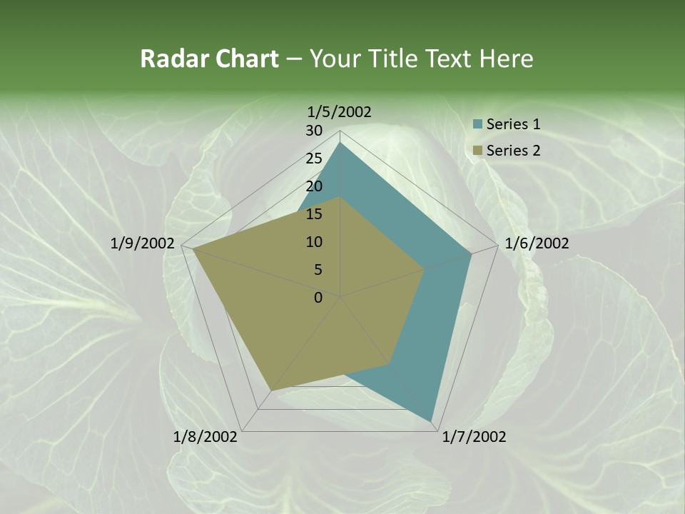 Black And White Cabbage PowerPoint Template