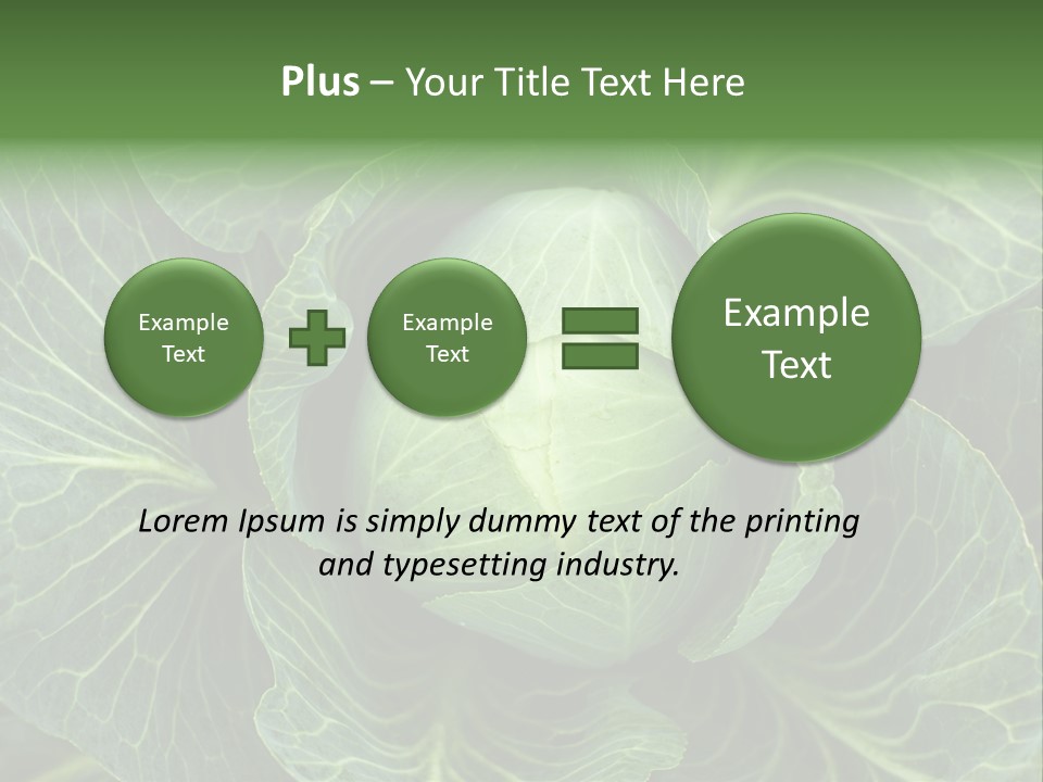 Black And White Cabbage PowerPoint Template