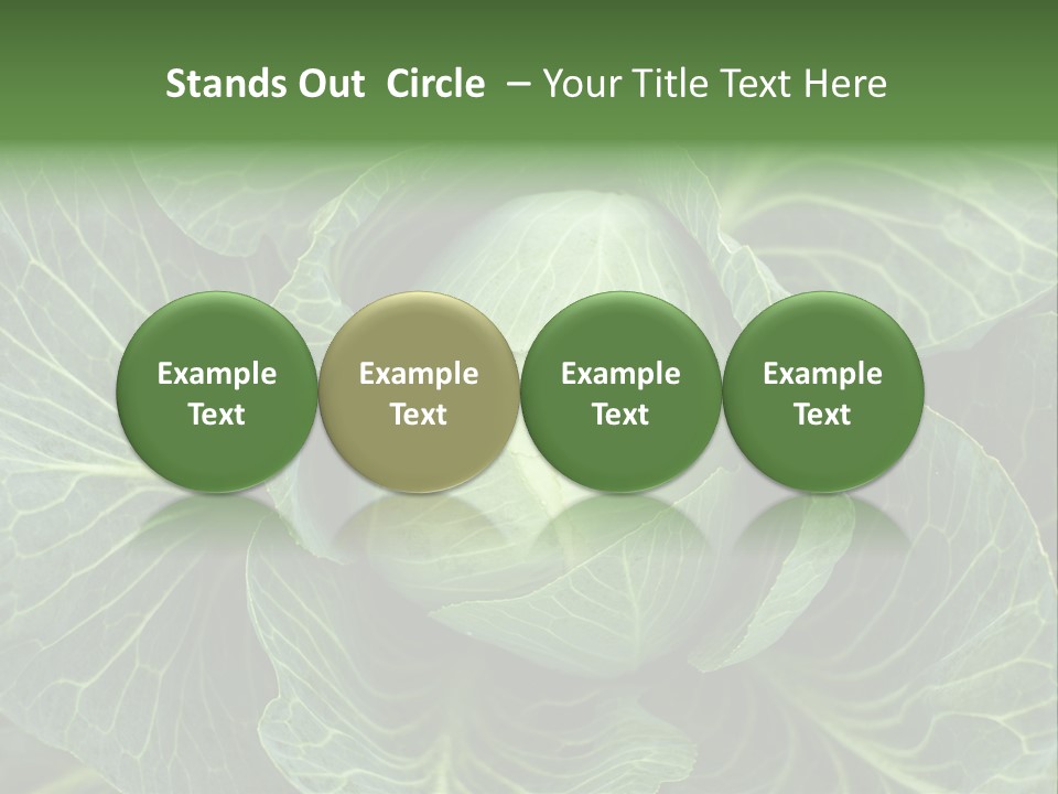 Black And White Cabbage PowerPoint Template