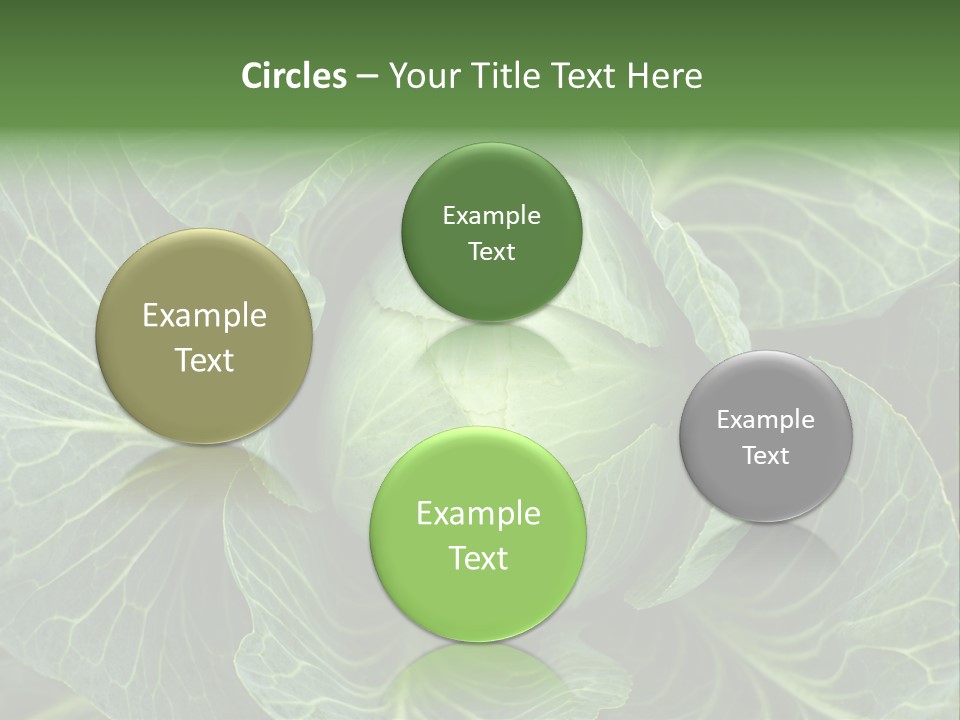 Black And White Cabbage PowerPoint Template