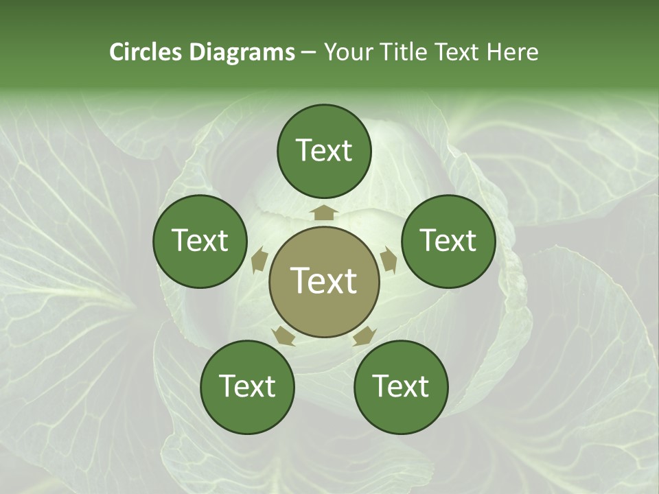 Black And White Cabbage PowerPoint Template