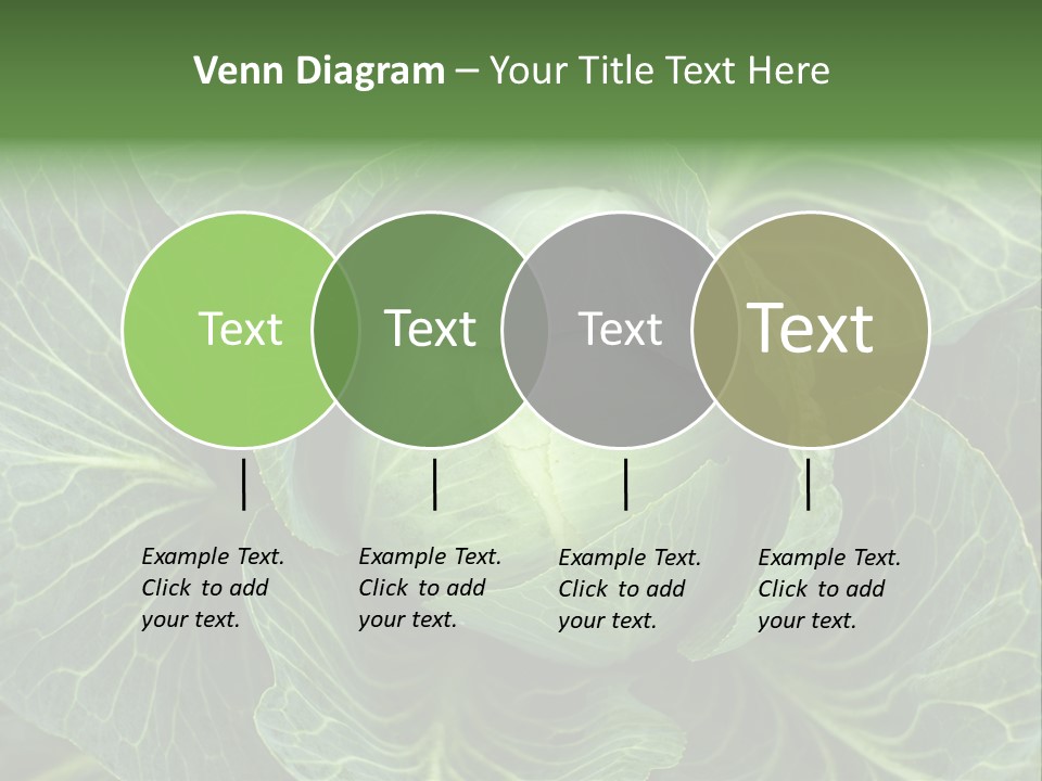 Black And White Cabbage PowerPoint Template
