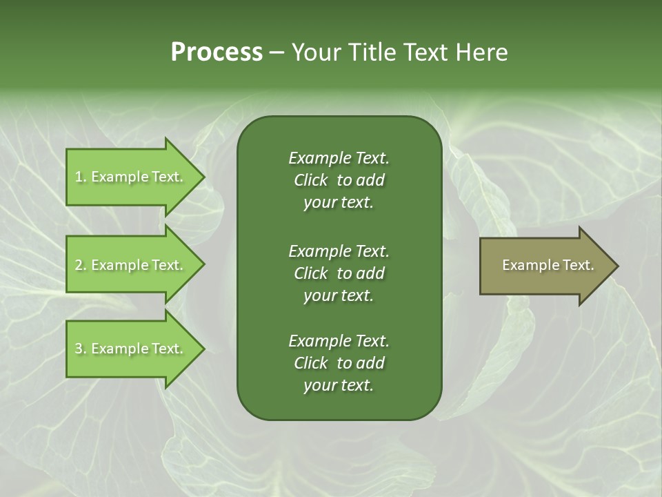 Black And White Cabbage PowerPoint Template