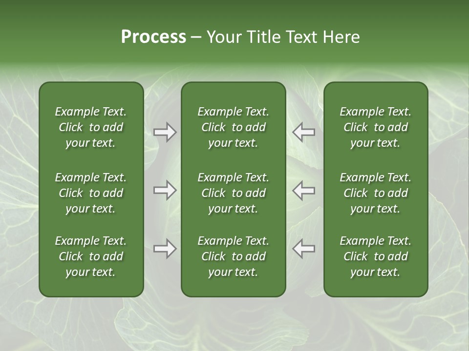 Black And White Cabbage PowerPoint Template