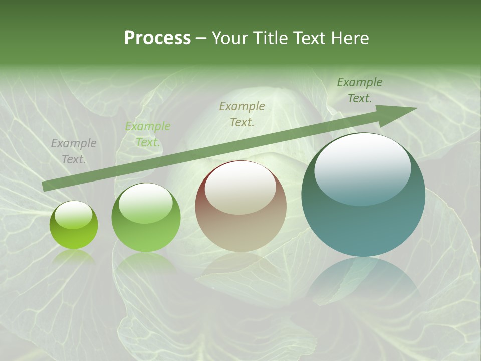 Black And White Cabbage PowerPoint Template
