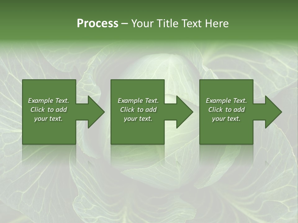 Black And White Cabbage PowerPoint Template