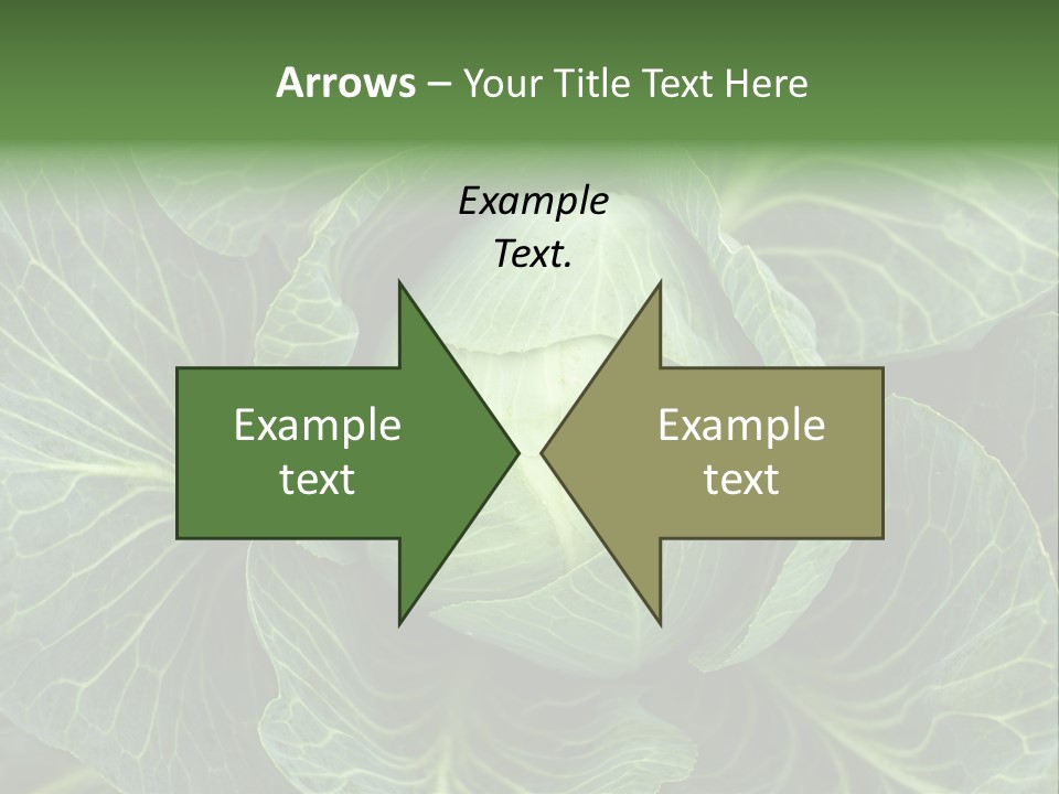 Black And White Cabbage PowerPoint Template