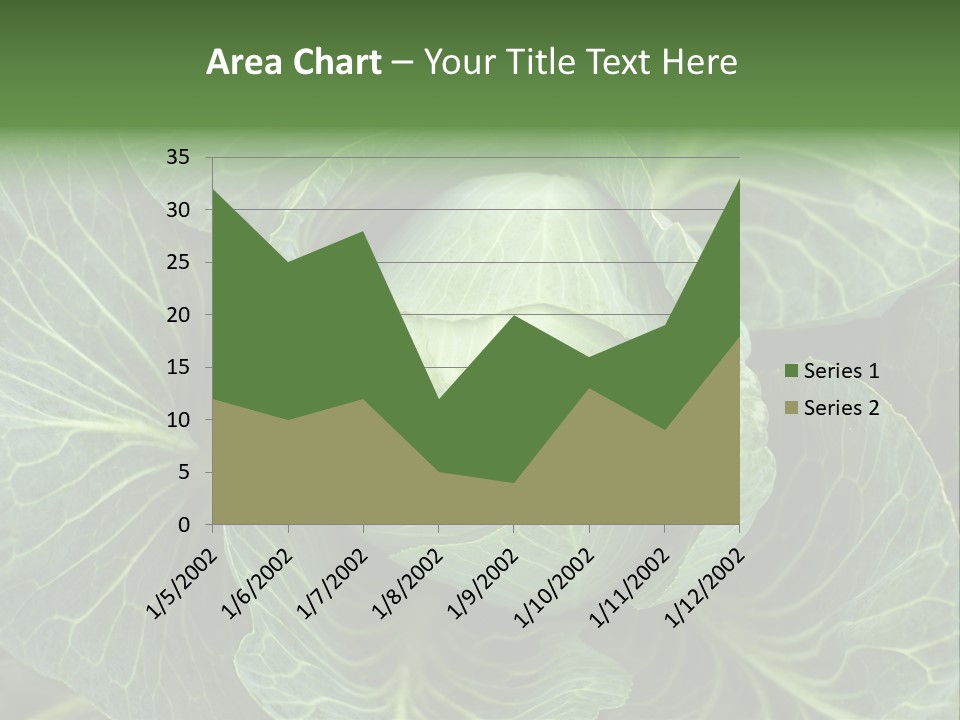 Black And White Cabbage PowerPoint Template