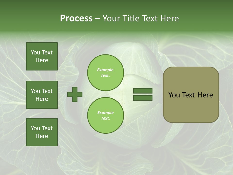 Black And White Cabbage PowerPoint Template