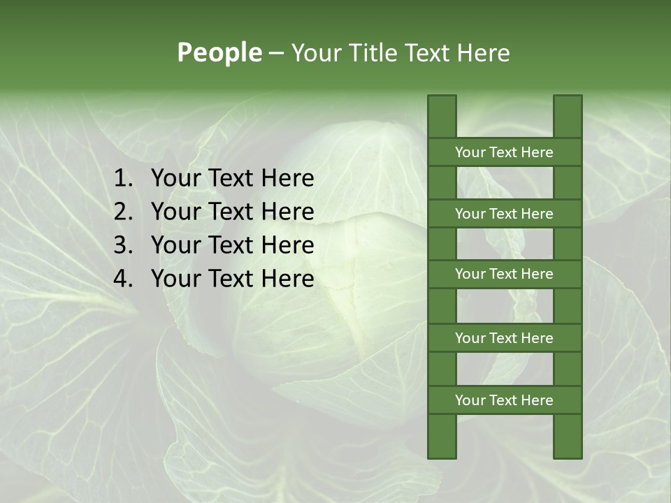 Black And White Cabbage PowerPoint Template