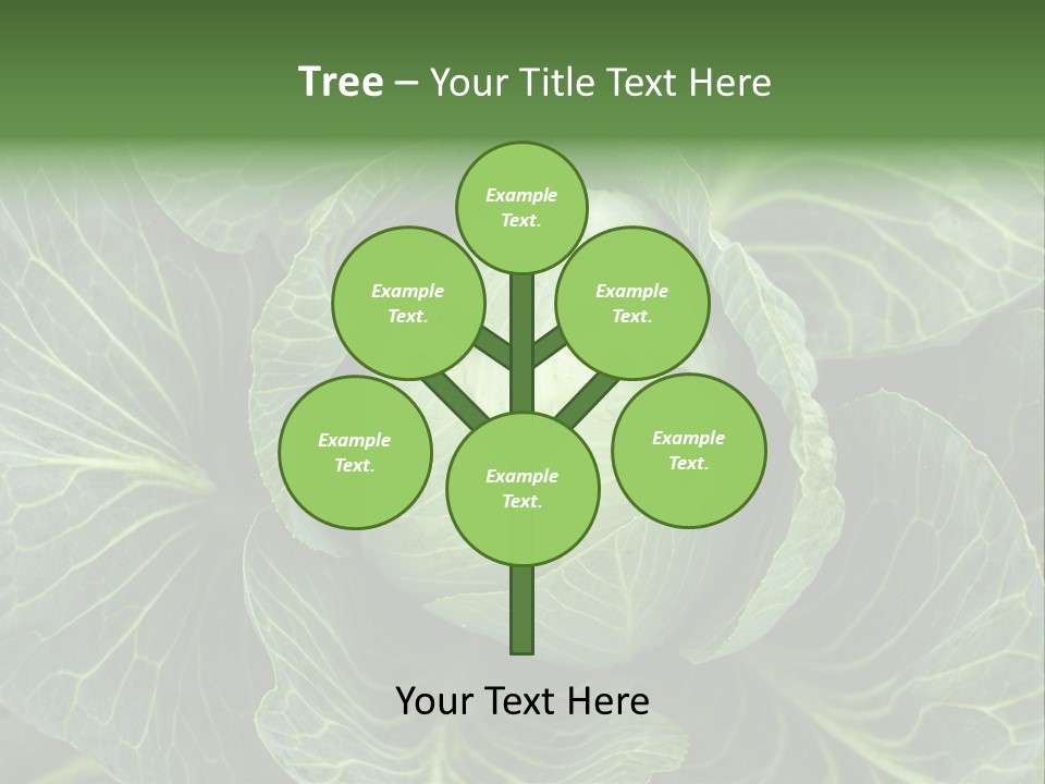 Black And White Cabbage PowerPoint Template