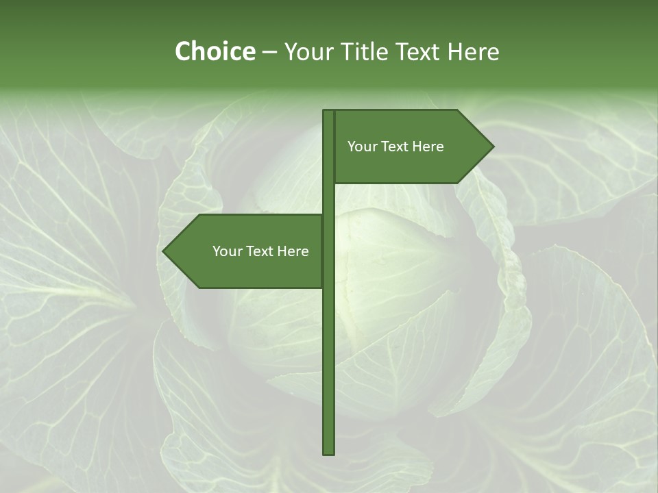 Black And White Cabbage PowerPoint Template