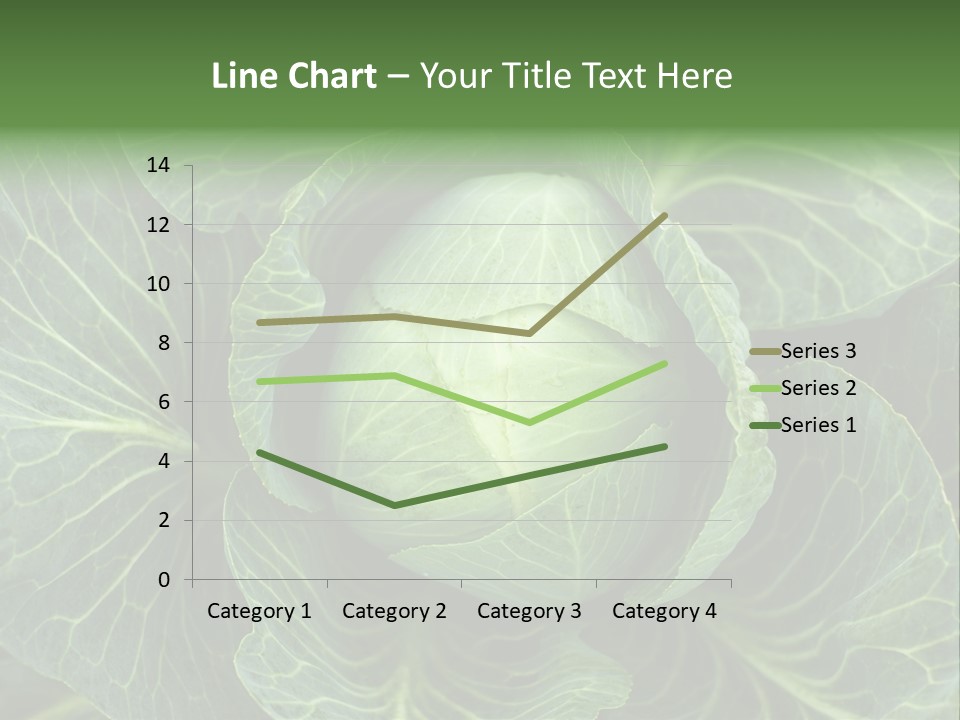 Black And White Cabbage PowerPoint Template