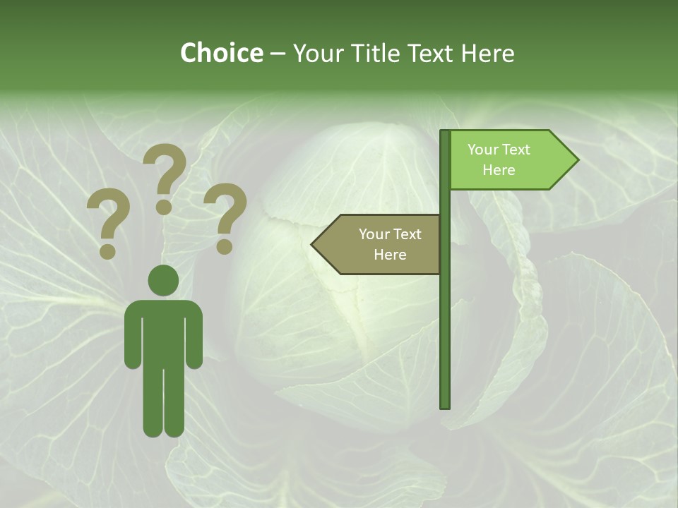 Black And White Cabbage PowerPoint Template