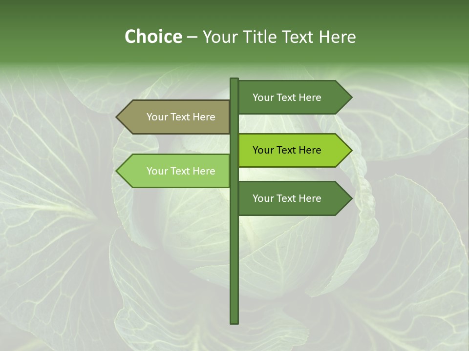 Black And White Cabbage PowerPoint Template