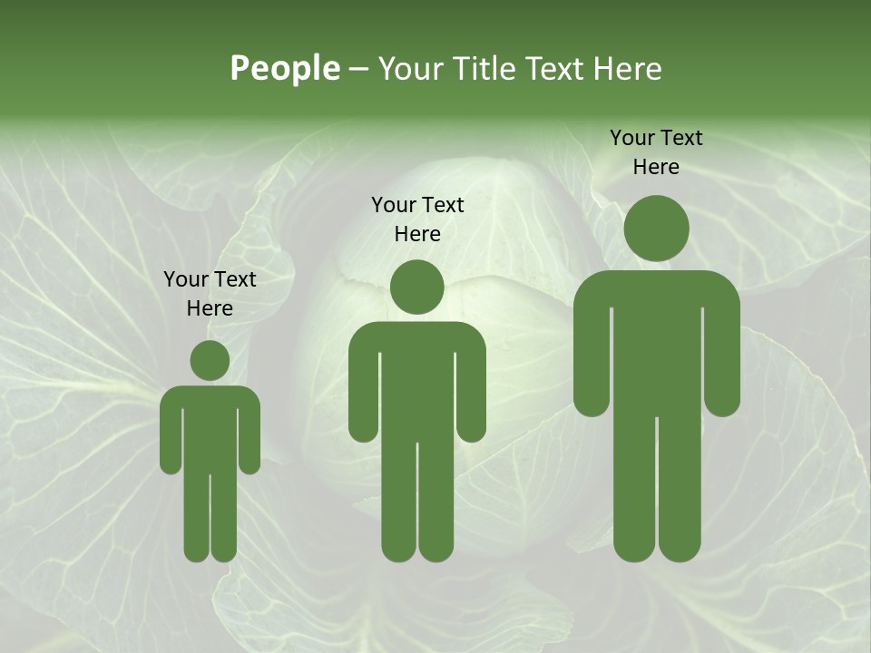 Black And White Cabbage PowerPoint Template