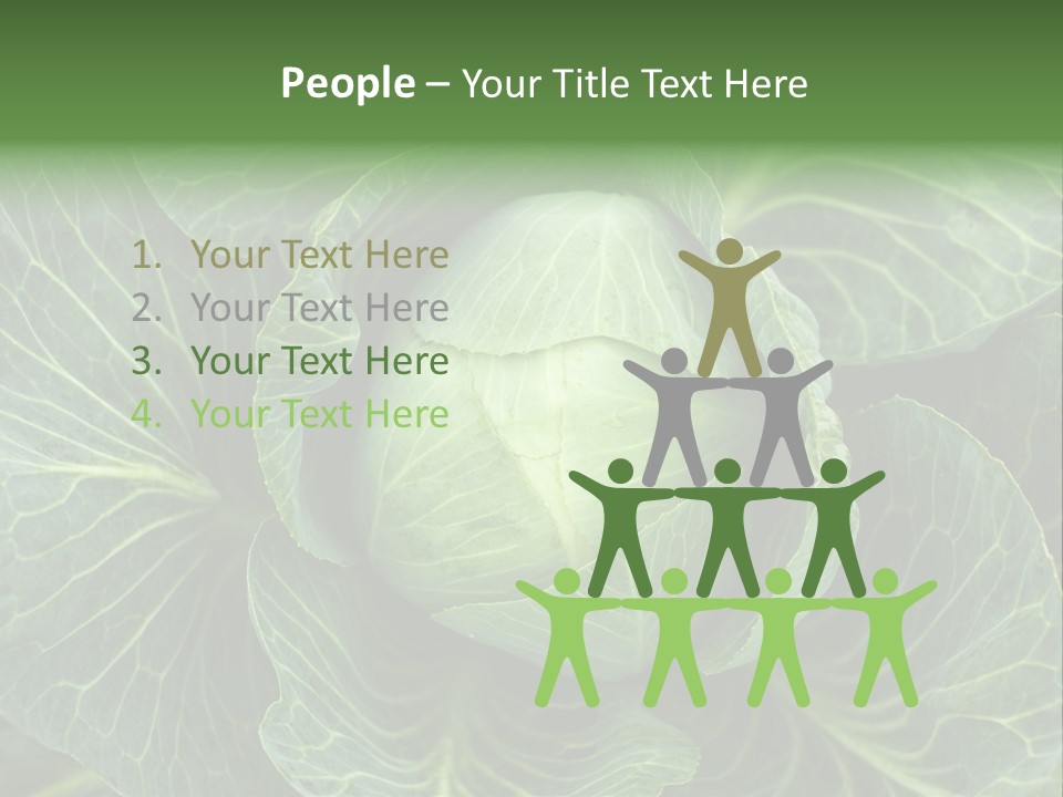 Black And White Cabbage PowerPoint Template