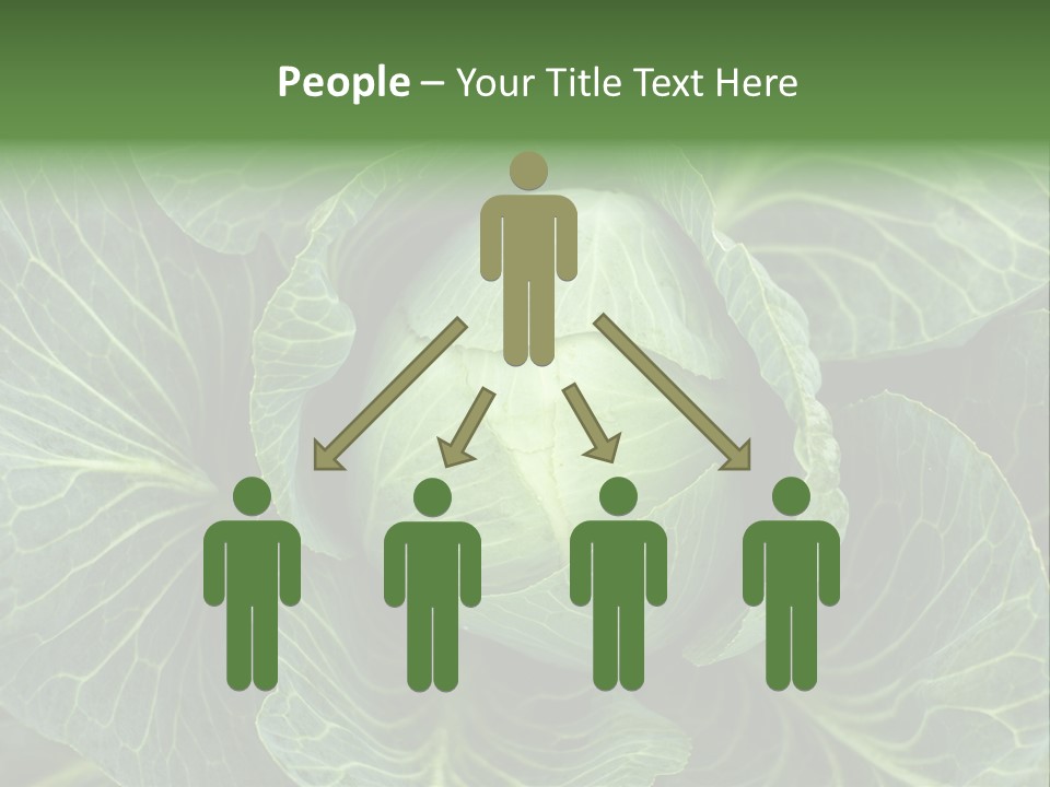 Black And White Cabbage PowerPoint Template