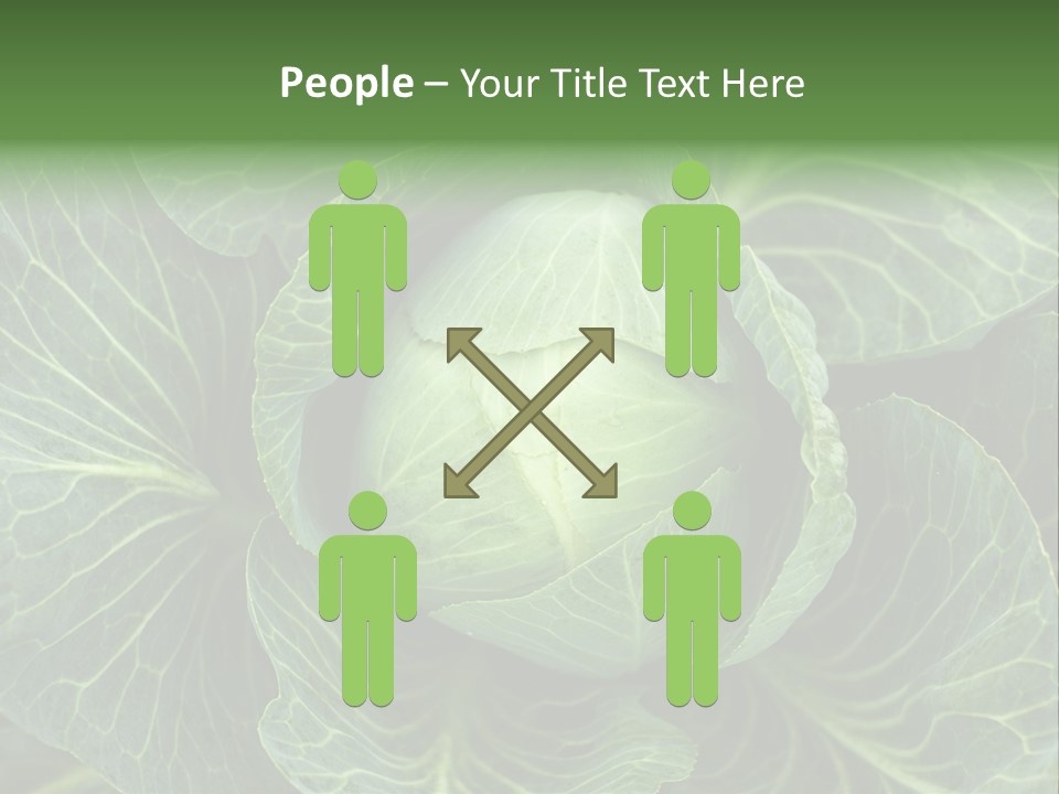 Black And White Cabbage PowerPoint Template