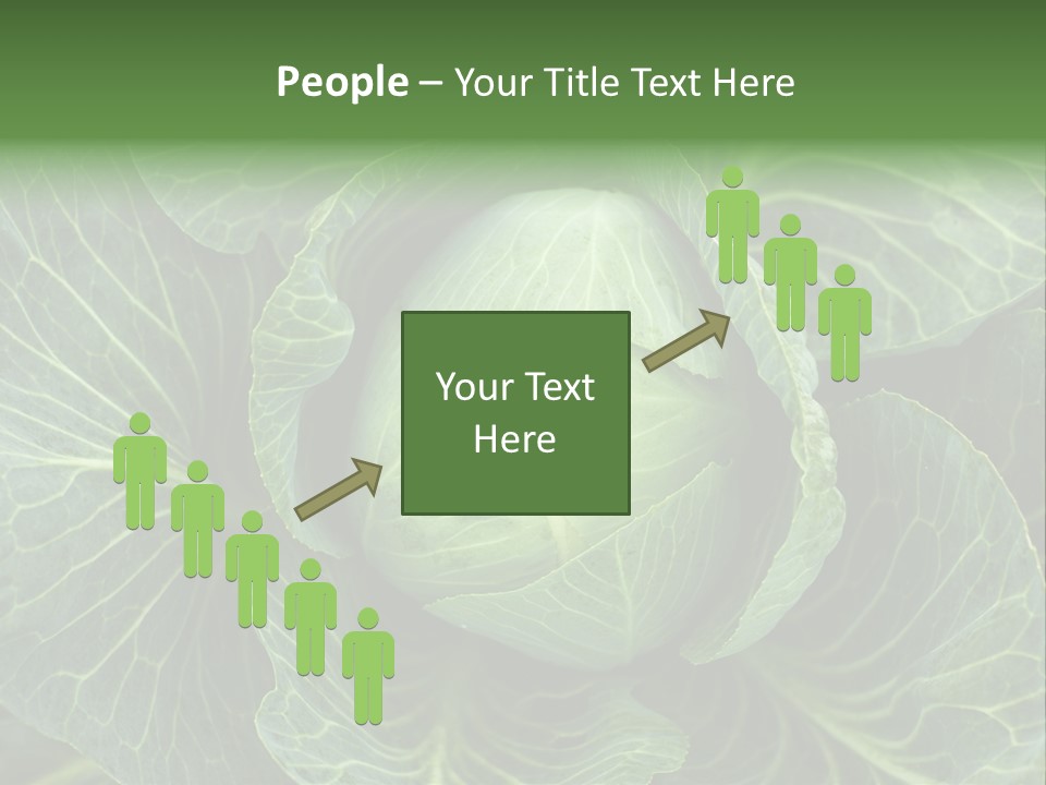 Black And White Cabbage PowerPoint Template