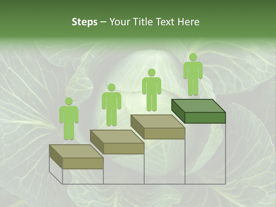 Black And White Cabbage PowerPoint Template