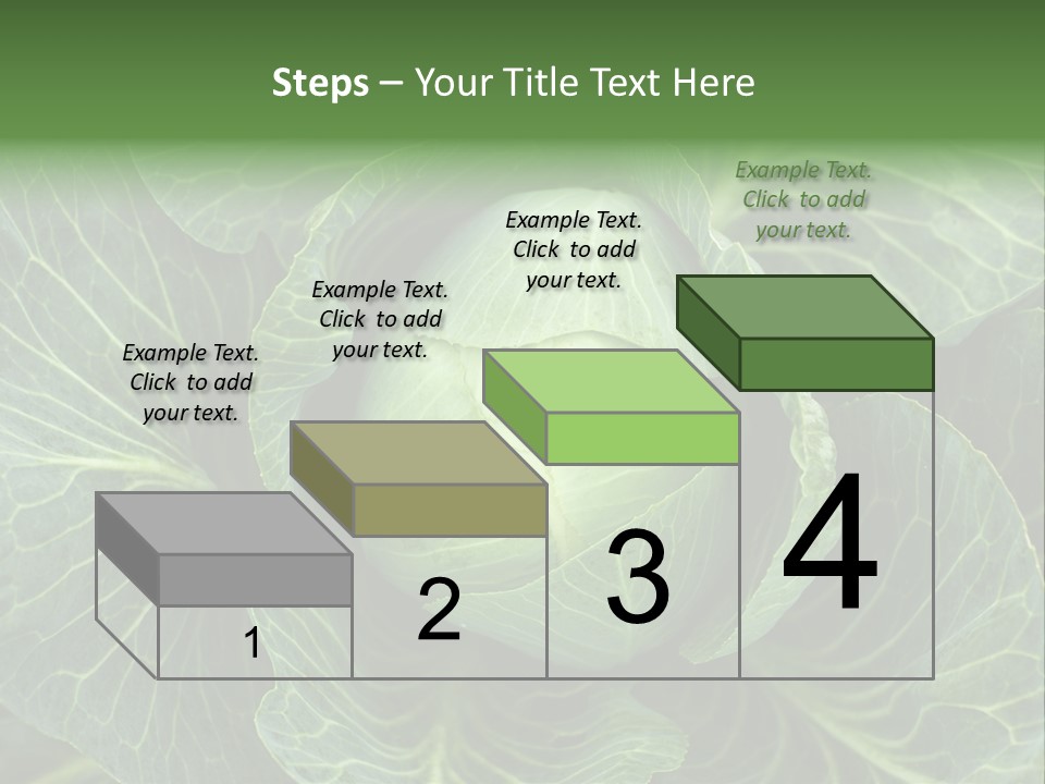 Black And White Cabbage PowerPoint Template