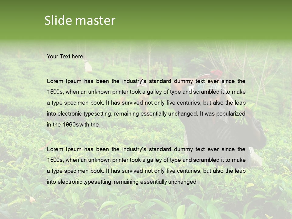 Tea Plantations In Sri Lanka PowerPoint Template