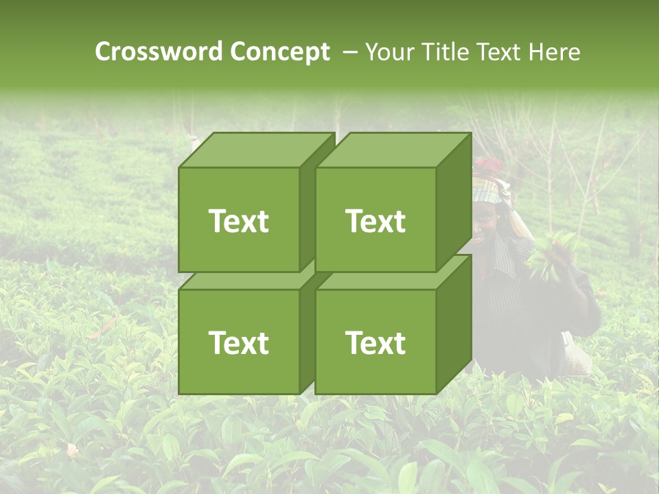 Tea Plantations In Sri Lanka PowerPoint Template