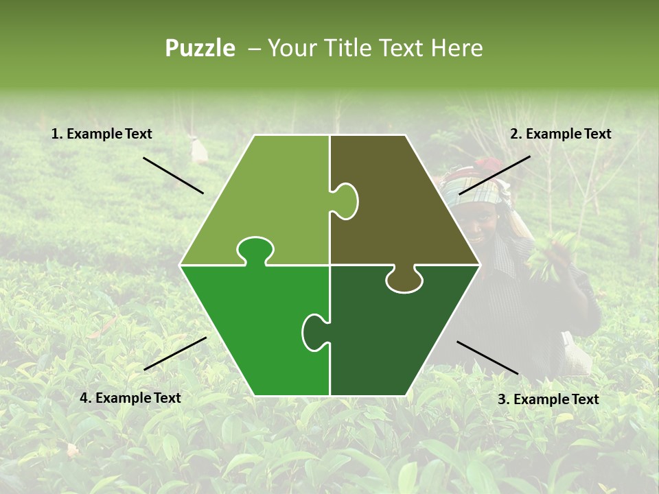 Tea Plantations In Sri Lanka PowerPoint Template