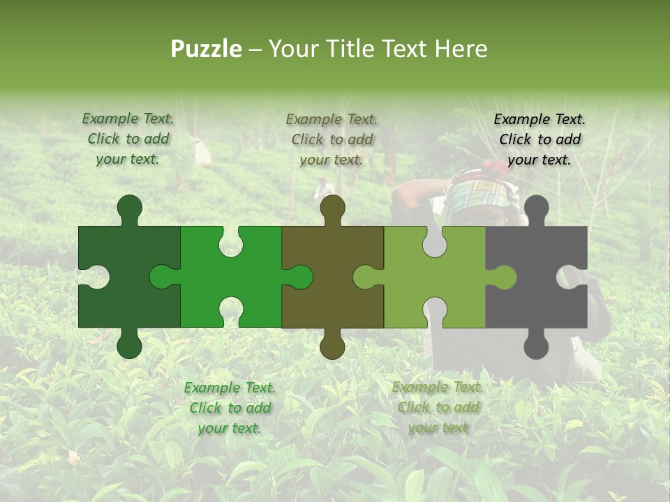 Tea Plantations In Sri Lanka PowerPoint Template