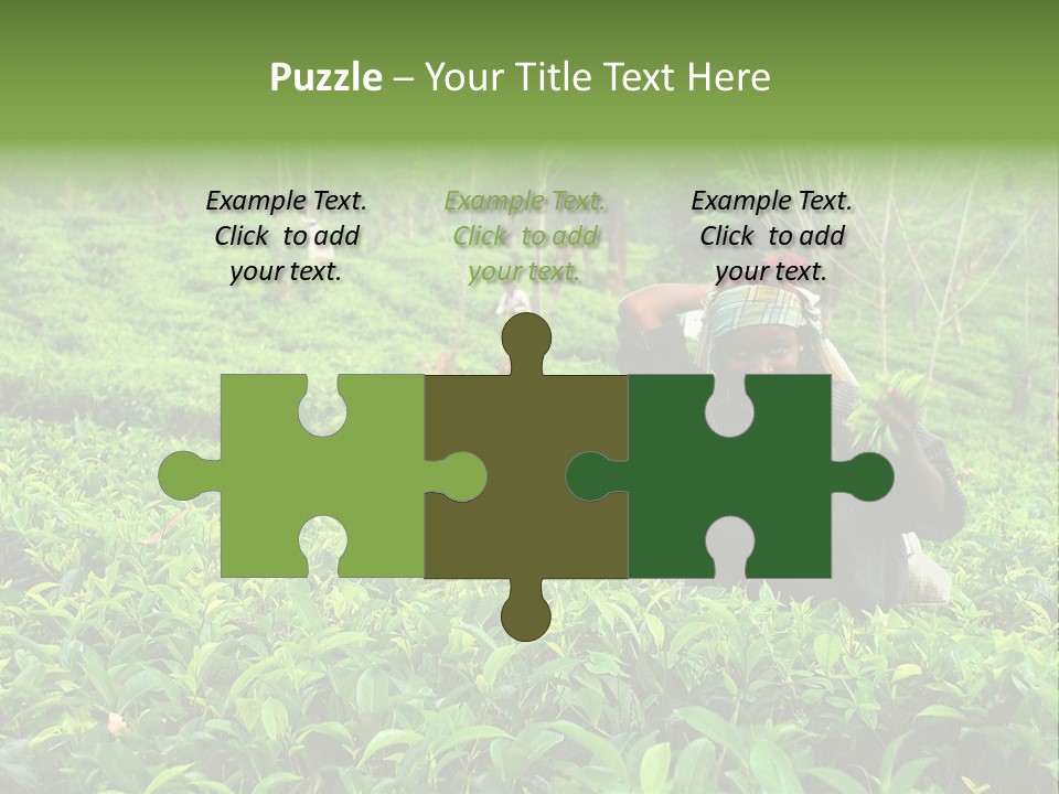 Tea Plantations In Sri Lanka PowerPoint Template