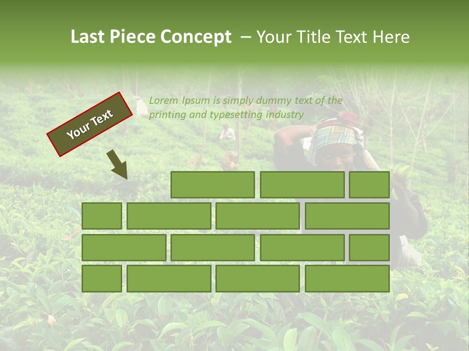 Tea Plantations In Sri Lanka PowerPoint Template