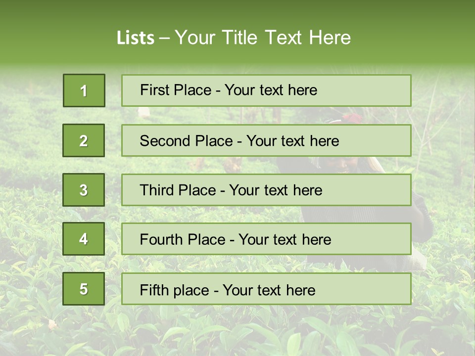 Tea Plantations In Sri Lanka PowerPoint Template
