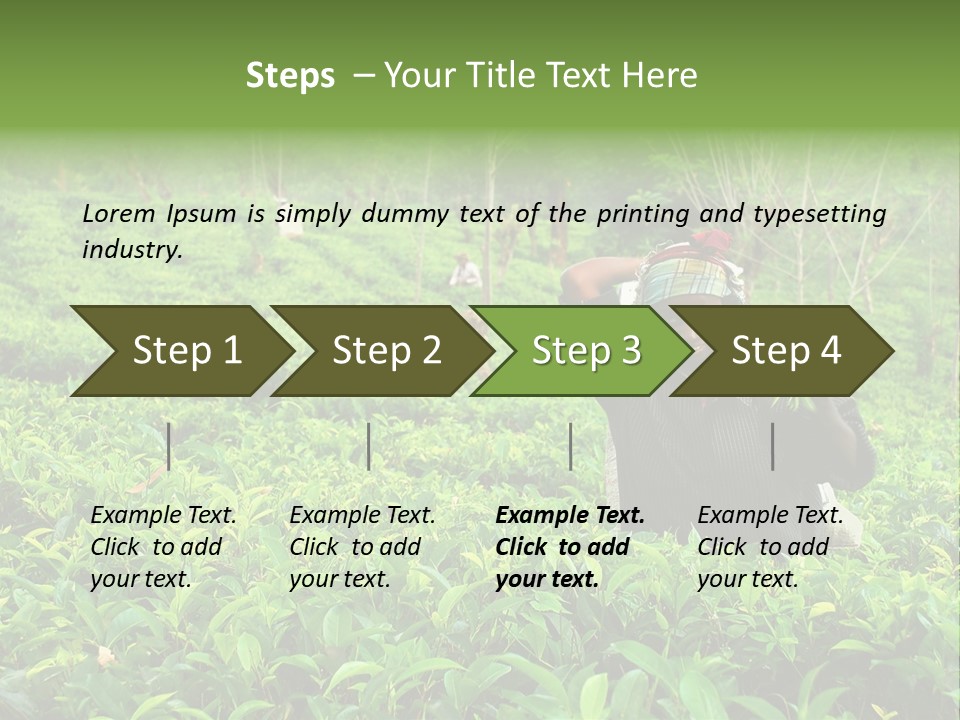 Tea Plantations In Sri Lanka PowerPoint Template