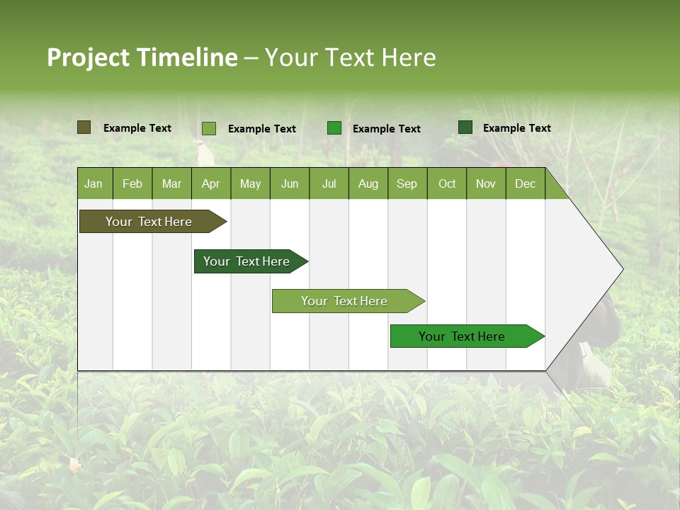 Tea Plantations In Sri Lanka PowerPoint Template