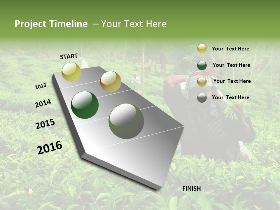 Tea Plantations In Sri Lanka PowerPoint Template