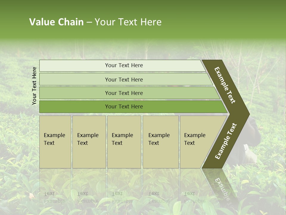 Tea Plantations In Sri Lanka PowerPoint Template